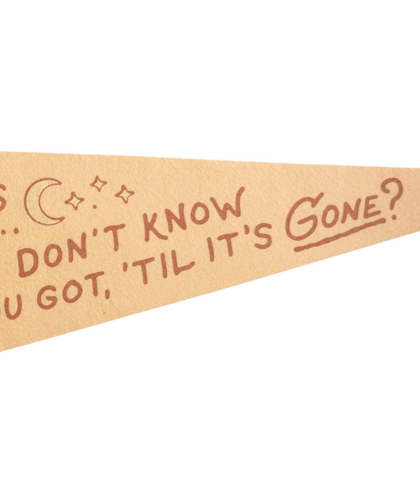 Big Yellow Taxi Pennant